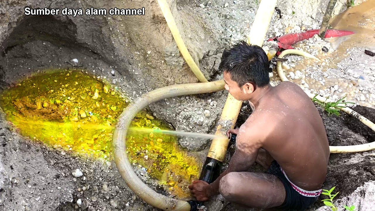 TAMBANG MINI MENGGUNAKAN CANGKANG KEPALA BABI, RAIH PULUHAN GRAM EMAS PERARI.