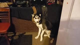 Kubo says 'I love you'