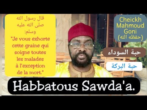 Habbatous Sawda'a.   |   La Nigelle cultivée.   |   Par Cheickh Mahmoud Goni.     |    (حبة السوداء)