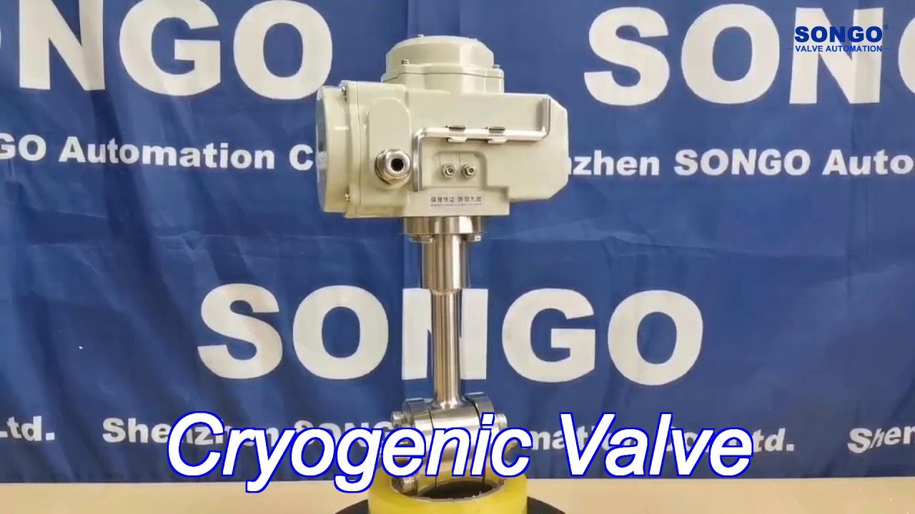 motorized cryogenic valve 24vdc stainless steel lng with electric actuator