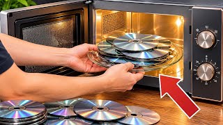 I Put Old CDs in the Microwave… The Result Was Nothing Like I Expected! | Creation Lab