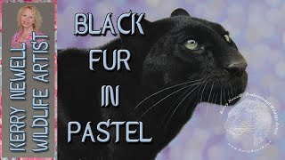 ✨ How to paint black fur in pastel 💫