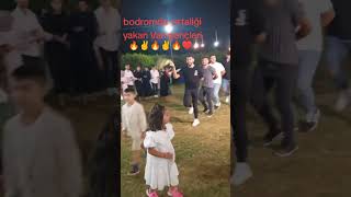 Ortalığı Dağıtan Vanlı Gençler Üğünleri