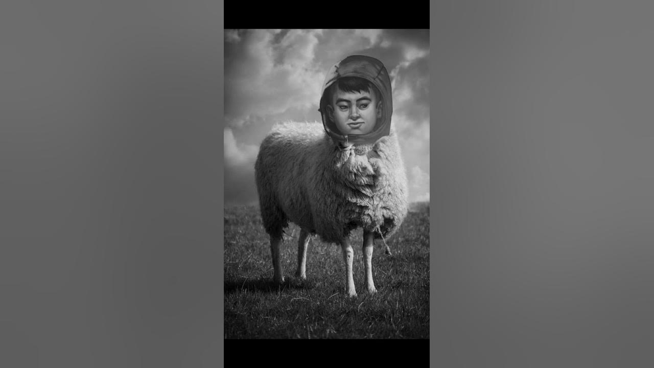 Бяша tiny bunny. Бяша зайчик фамилия. Ава бяши. Бяша зайчик фамилия. Бяша зайчик фамилия.