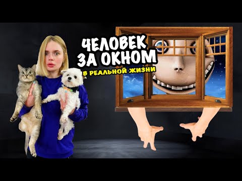 ЧЕЛОВЕК ЗА ОКНОМ В РЕАЛЬНОЙ ЖИЗНИ | ПРЯТКИ С КОТАМИ ЗА 5 минут