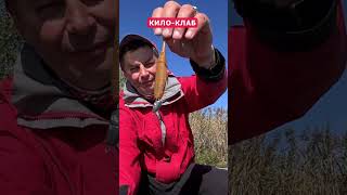 Какую джиг головку поставить? Джиговые оснастки для спиннинга  #рыбалка #спиннинг