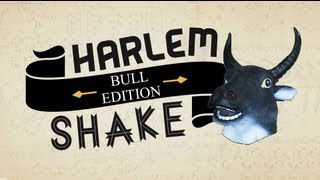 Do the Harlem Shake ! [EPIC] HD