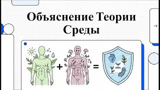 Почему мы на самом деле болеем?