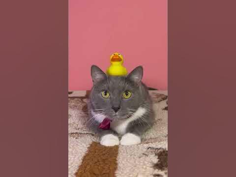 Урок ОБЖ - YouTube