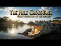 The Nile Crocodile 🐊 | Great Predator of the World 🌍 (COMPLETE) [HD] #NileCrocodile 🐊#AfricanWild 🌍