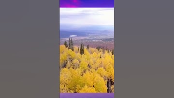 quran  القرآن الكريم مقطع جميل مميز-عنتر سعيد مسلم-سورة التوبة( هو الذي جعل..)-تلاوات نادرة خارجية