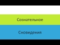 Анализ сновидений 1: Введение. Что такое сновидение? (спецкурс проекта &quot;Тонкости психологии&quot;)