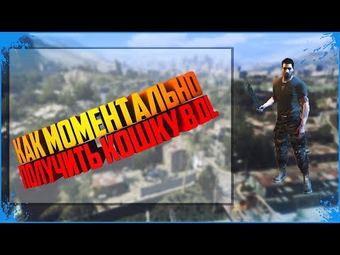 Как моментально получить кошку dying light
