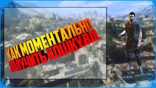 Как моментально получить кошку dying light