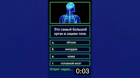 Какой орган самый большой в нашем теле?