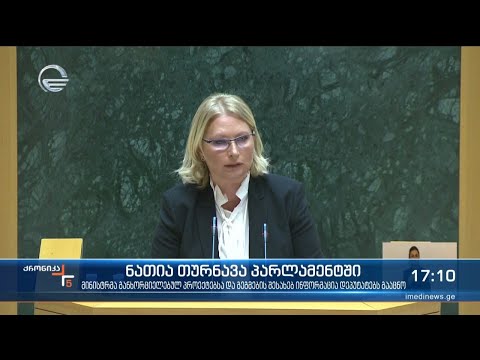 ნათია თურნავა პარლამენტში
