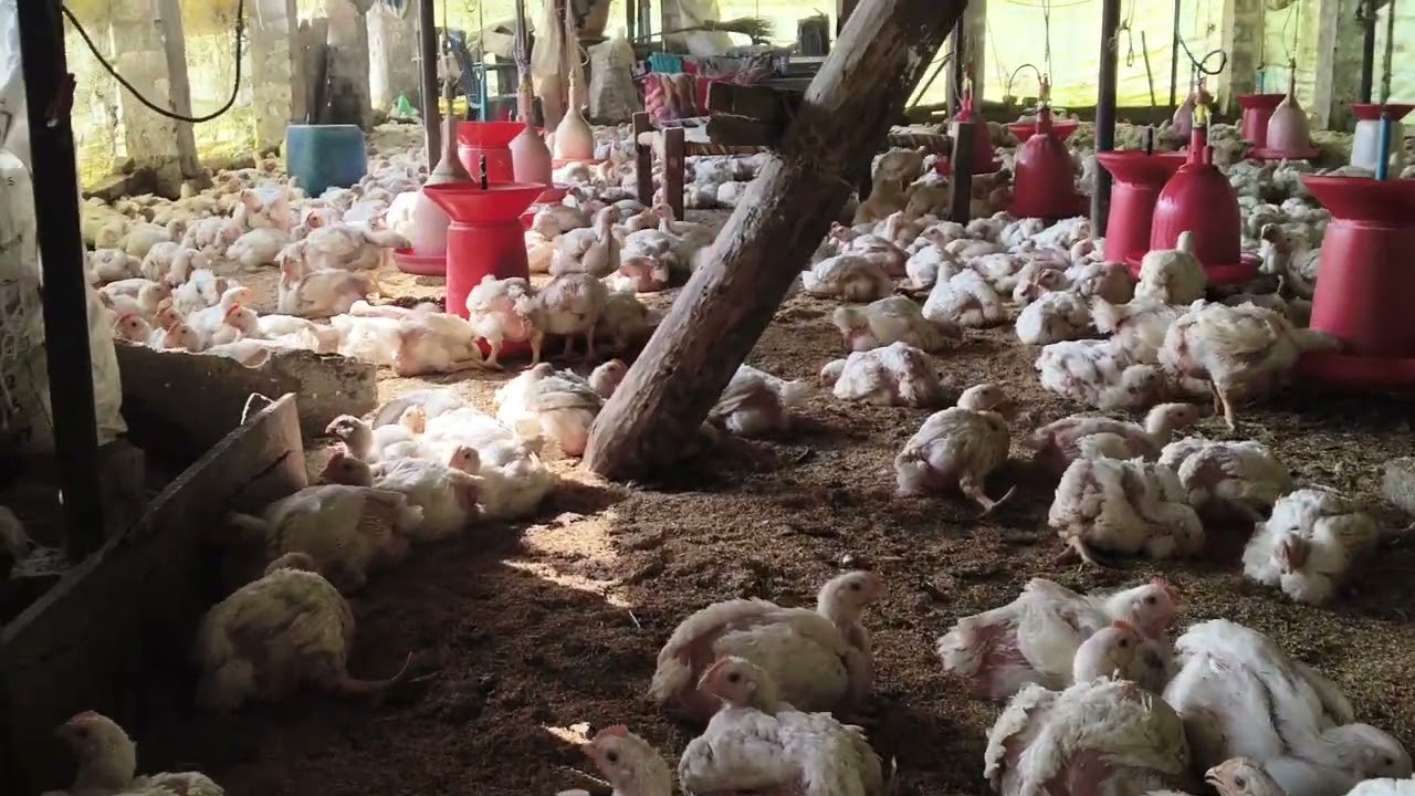 To Bhai log 30 din pura ho chuka hai jiska aur 10 din bacha hai lekin hone ka to Bhai result kawait