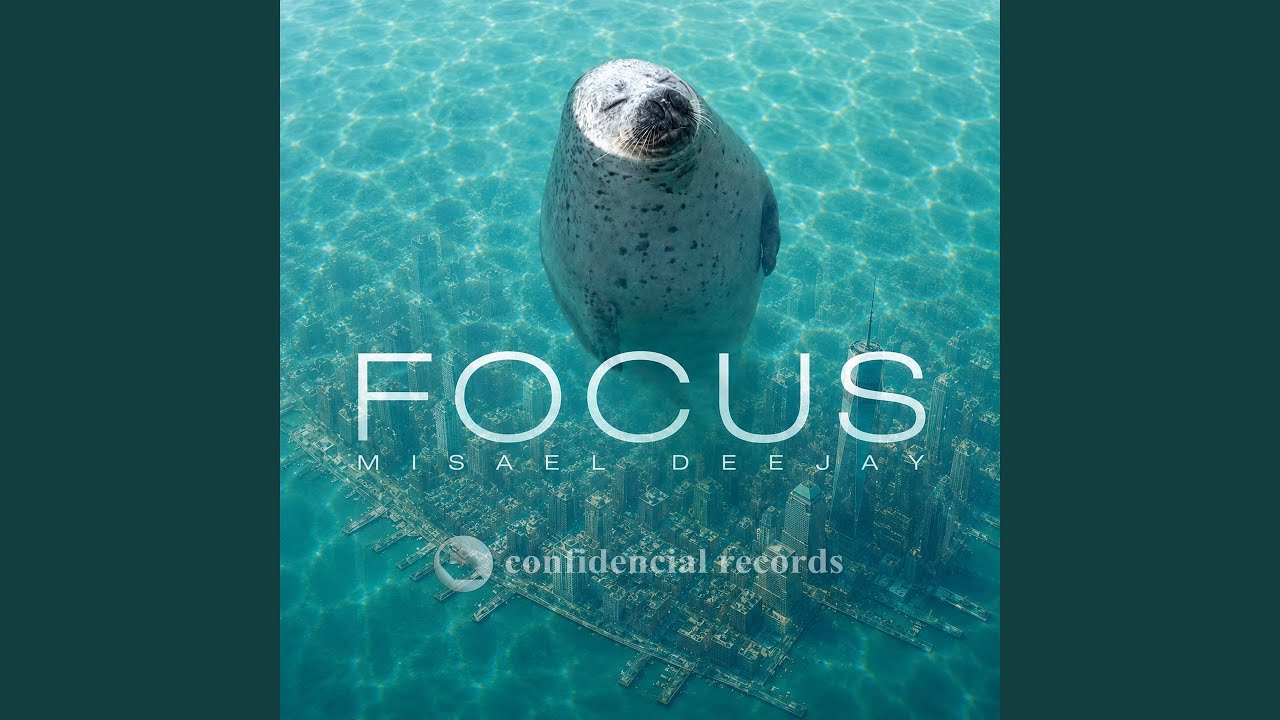 Ver FOCUS no YouTube Ver FOCUS no YouTube