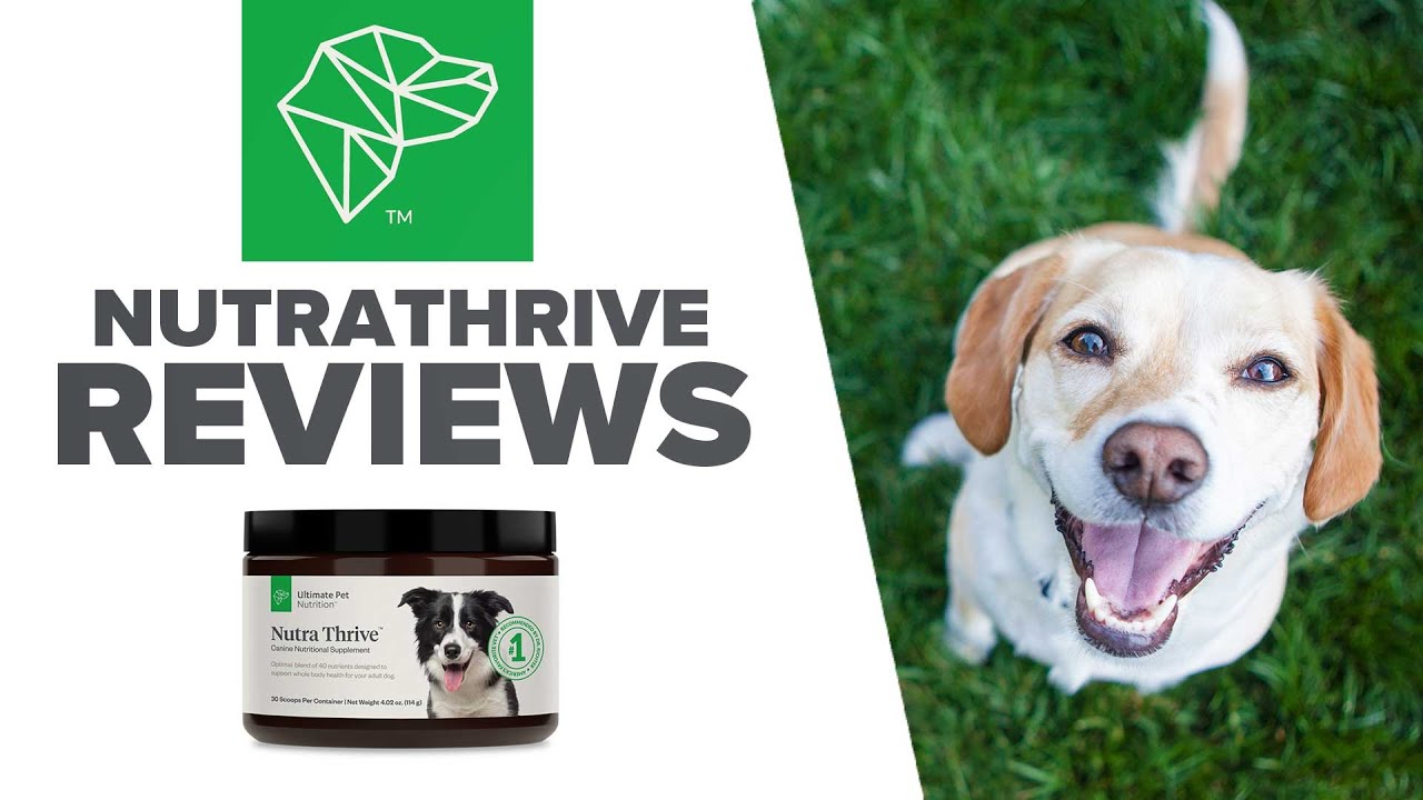 nutra thrive canine nutritional supplement