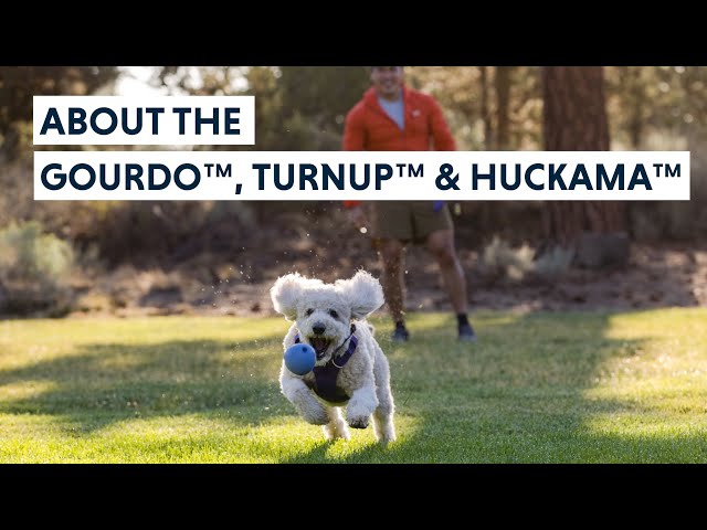 Huckama™ Rubber Dog Throw Toy