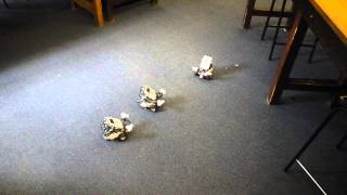 Flocking with Lego Mindstorms NXT 2.0