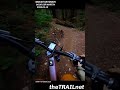 Mount Seymour Trail: Good Sir Martin #mtb #mountainbike #mtblife