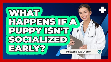 What Happens If A Puppy Isn