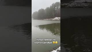 #рыбалка #рибалка #carpfishing #карпфишинг #рыбалка2024 #рибалка2024