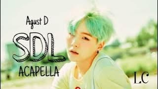 [CLEAN ACAPELLA] Agust D - SDL