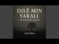 Dilê Min Şewitî My Heart Is Burned 