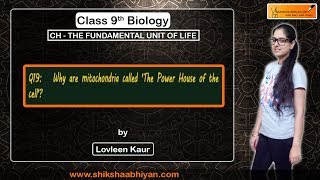 Q19  Why are mitochondria called 
