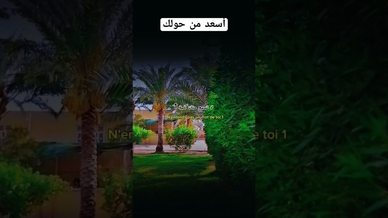 أسعد من حولك؟ #اكسبلور #العثيمين #اقنباسات #المصحف #لايك #حالات_واتس #دويتو #تصميمي #ترند