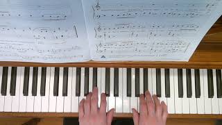 Rhino In The Mud - Piano Adventures Level 2A Performance Book