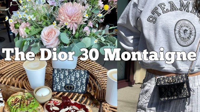 Brown Dior Oblique 30 Montaigne Pouch – RvceShops Revival