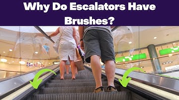 Why Escalators Have Brushes?