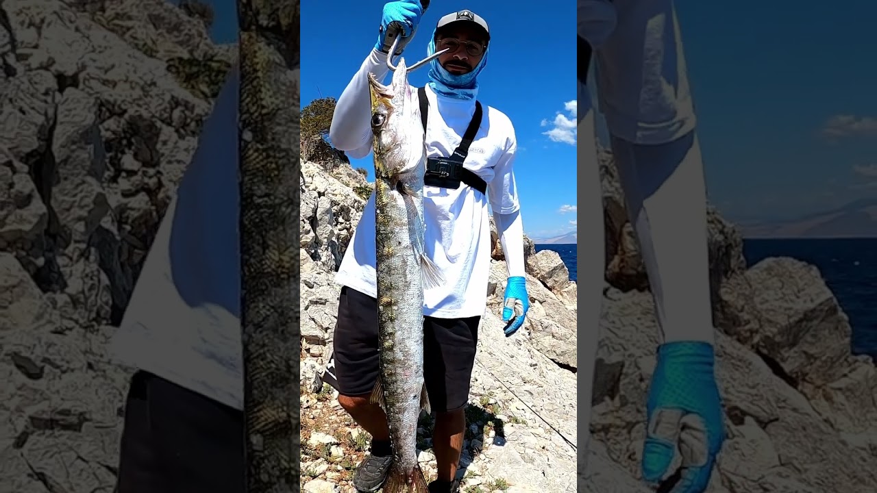 #barracuda #shorejigging #Ψάρεμα #fishing #fish #spinning #epiccatch