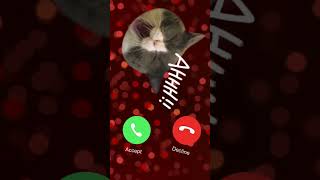 Download Lagu apple ringtone  // iphone  ringtone #iphone #youtubeshorts MP3