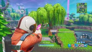 Fortnite win whit TheNoName