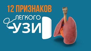 УЗИ легкого. Самая главная лекция. 12 признаков нормы и патологии.