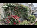 NO More RABBITS/DEER In Your Garden!