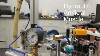 Untethered High Force Hydraulic Artificial Muscle for Portable Exosuit