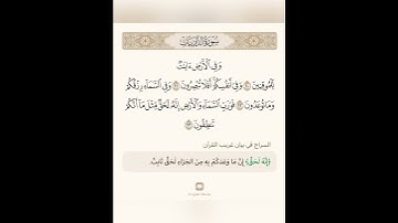 السراج في بيان غريب القران سورة الذاريات 2  تلاوة الشيخ محمد ايوب رحمه الله تعالى