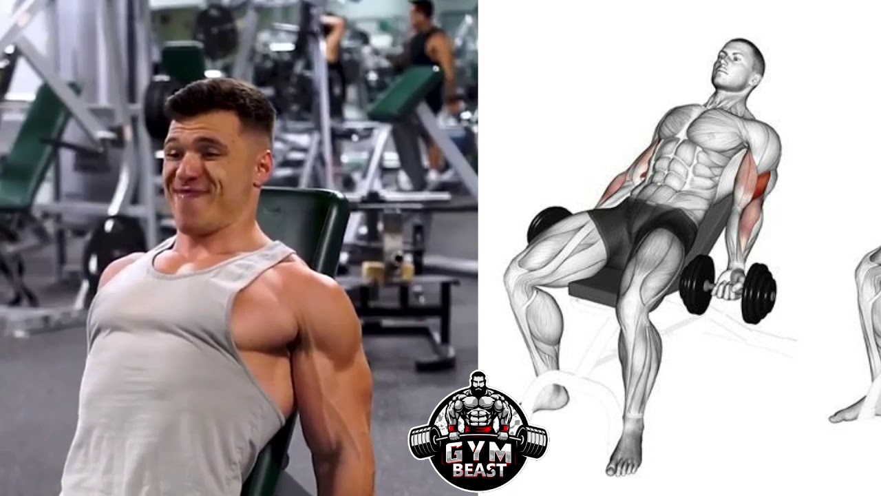 Bigger ARMS WORKOUT | BICEPS & TRICEPS - YouTube