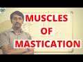 MUSCLES OF MASTICATION