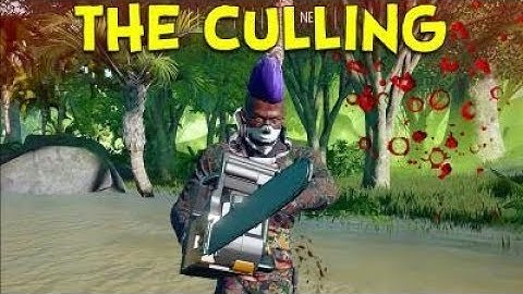 THE CULLING! (A New Hunger Games Game!)