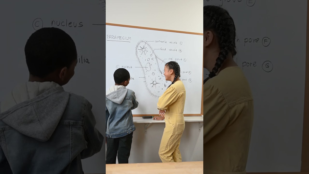 В Германии украинский язык будет вторым в школах! 