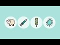 Coronavirus: How Long Will Lockdown Last? - TLDR News
