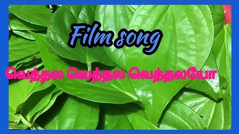 Vethala Vethalayo song/மலேசியா வாசுதேவன்/வாலி/சிவகுமார் சார் 100 வது படம்/ROSAAPPO RAVIKKAI KAARI/