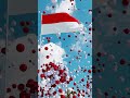 Indonesia National Anthem and Flag 🇮🇩 #anthem #indonesia