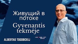 картинка: Albert Togobickij 2025 08 17 